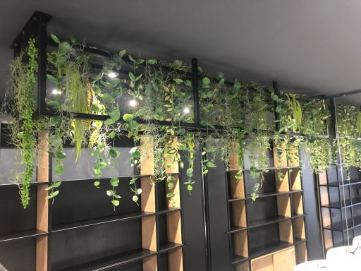 Plantes suspendues dans une étagère moderne avec éclairage intégré.