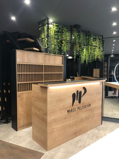 Comptoir en bois clair avec logo, plante verte en arrière-plan. Ambiance moderne et accueillante.