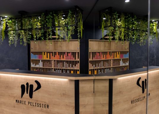 Espace d'accueil moderne avec des plantes suspendues et des étagères en bois.