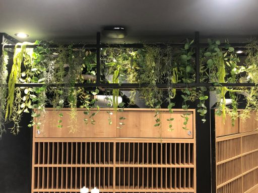 Plantes suspendues et mobilier en bois dans un espace intérieur moderne.